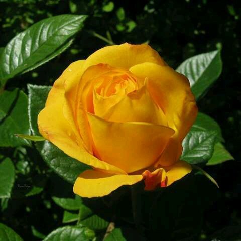 Operação beta lab! (@suelili2016) on Twitter photo 