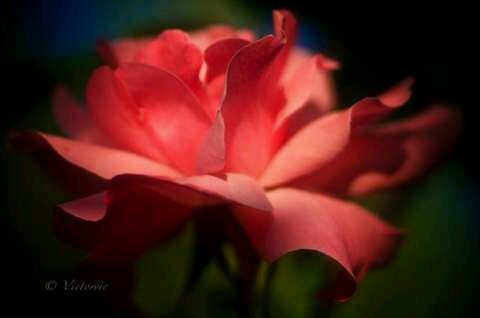 Operação beta lab! (@suelili2016) on Twitter photo 