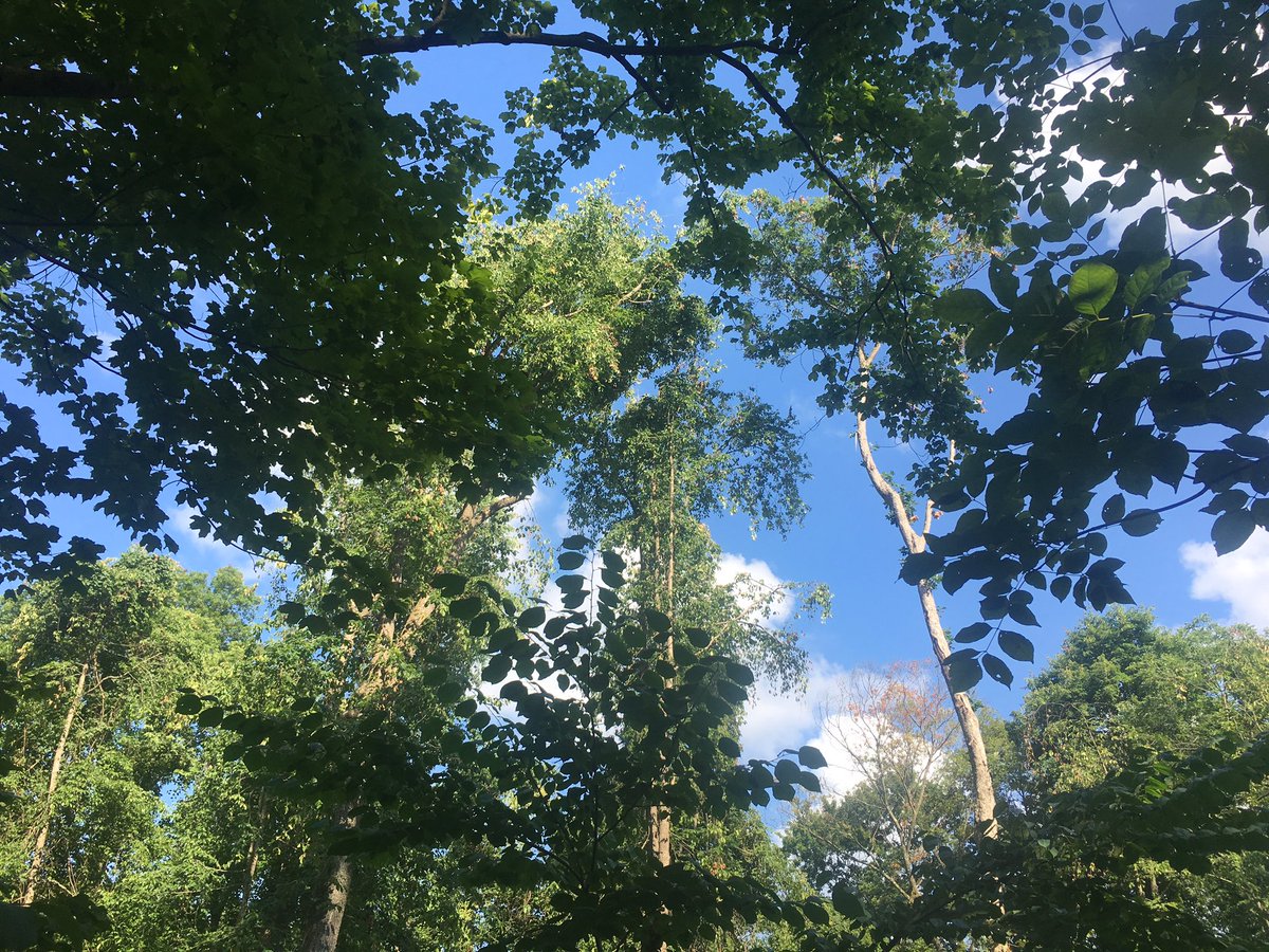 ckillaa_'s tweet photo. This worlds beautiful https://t.co/aqsmKMboRF