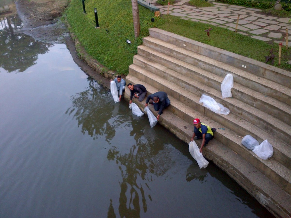 <a href="/ridwankamil/">Ridwan Kamil</a> <a href="/OdedMD/">Oded Muhamad Danial</a> <a href="/yossiirianto/">Yossi Irianto</a>  Restocking/Tebar Benih Ikan di Teras Cikapundung sbnyak 50rb ekor 6/8/16