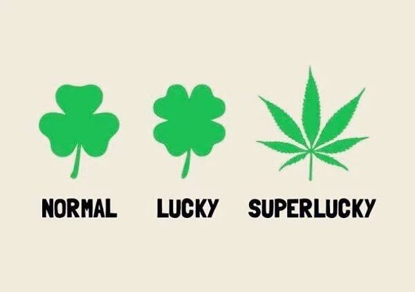 StonerLogc's tweet photo. Who else is super lucky? https://t.co/1ywrQ76xIm