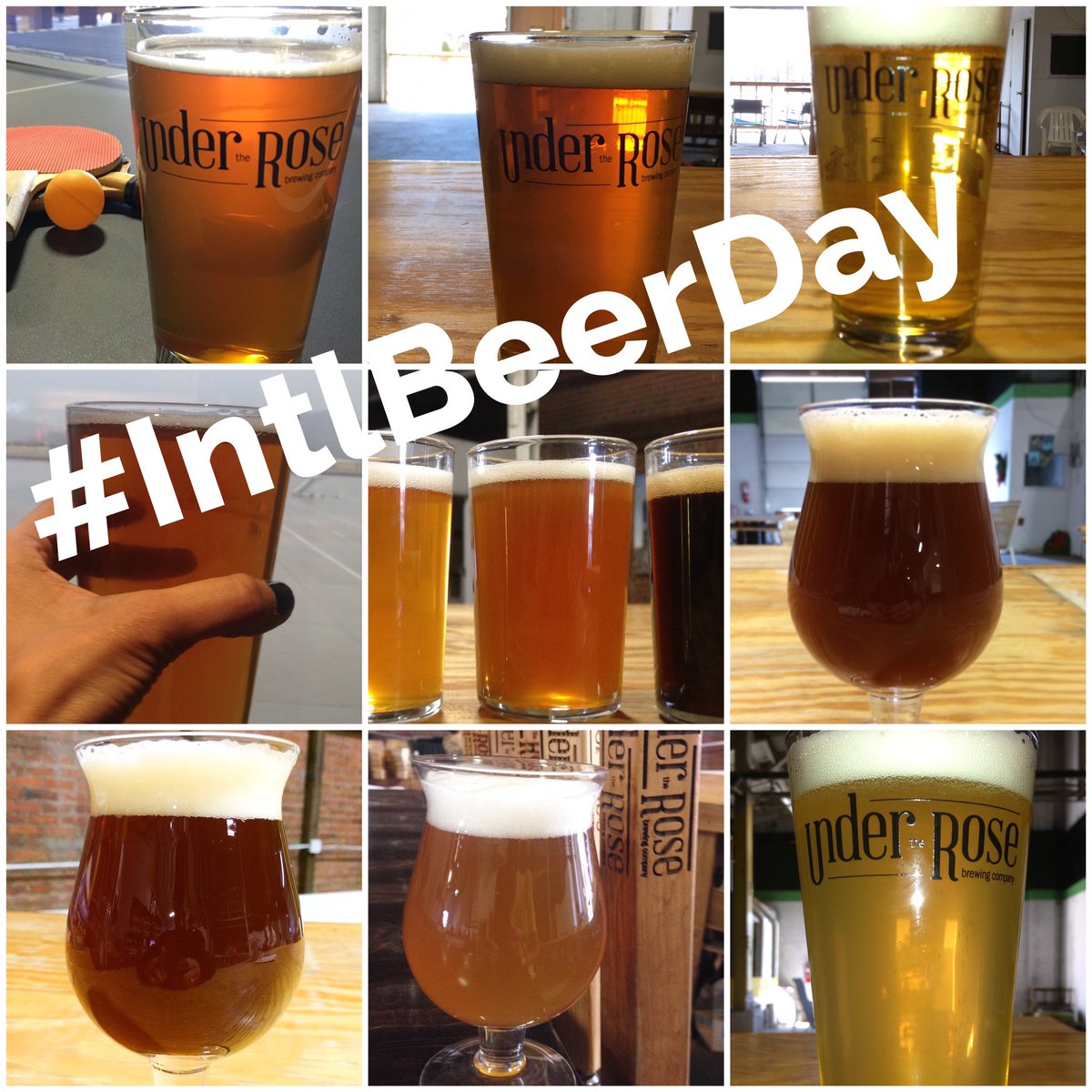 Under The Rose tweet media