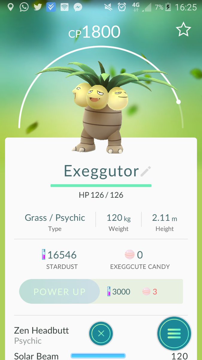 PokemonGoNW tweet picture