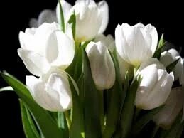 hey_lola64's tweet photo. π§π»#AS160π§π»
π#AmSπ¬
π£
π#RT RTπ
@jhonatangutiier
@marcelarocha_25
@canddee_carp
@annikamariek05
@selenasuarez9 https://t.co/DdfNWQ0bkV