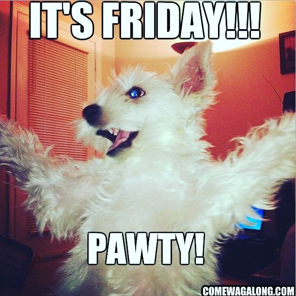 Fort Worth Poop 911 on Twitter "It's the weekend! Let's do this!! partypup poop911