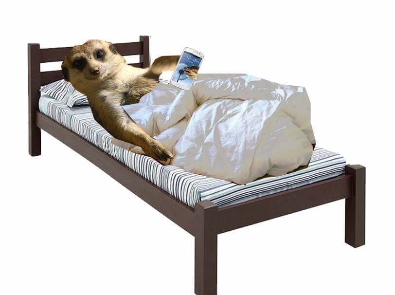 Fim de semana dus zôtro / Meu fim de semana