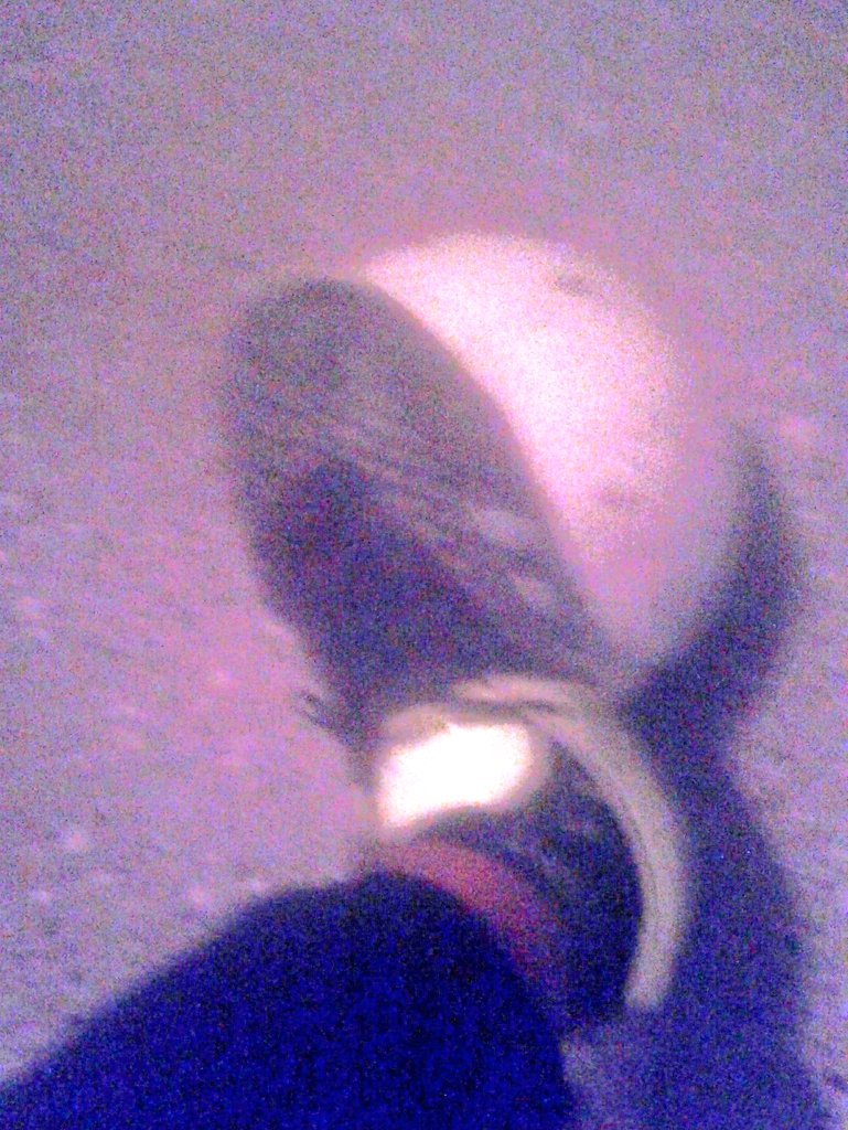 2014Maxioviedo's tweet photo. Ah Jugar Un Ratooo ♥ https://t.co/stJtgl5qF9