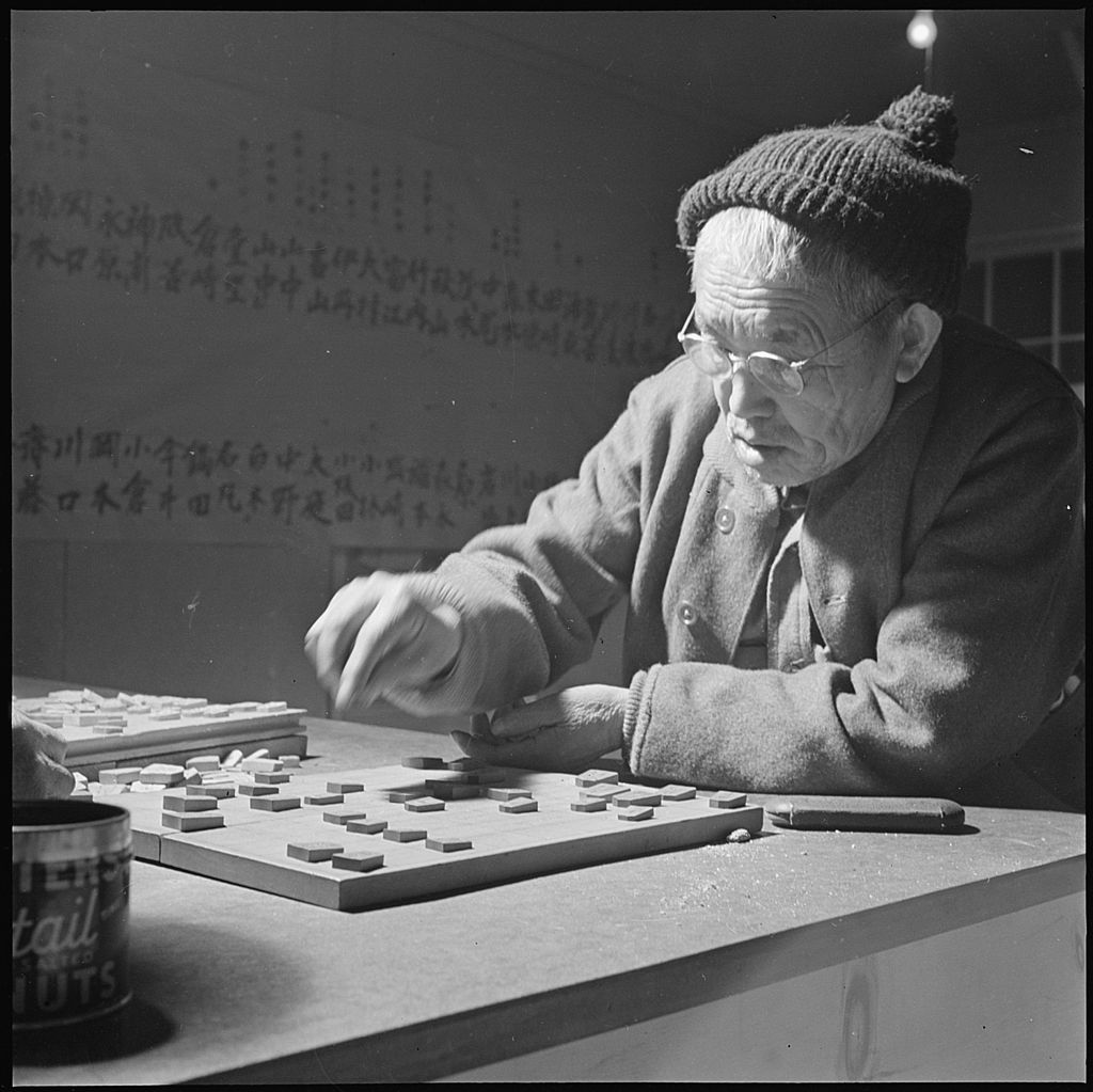 Taikyoku Shogi, Board Game