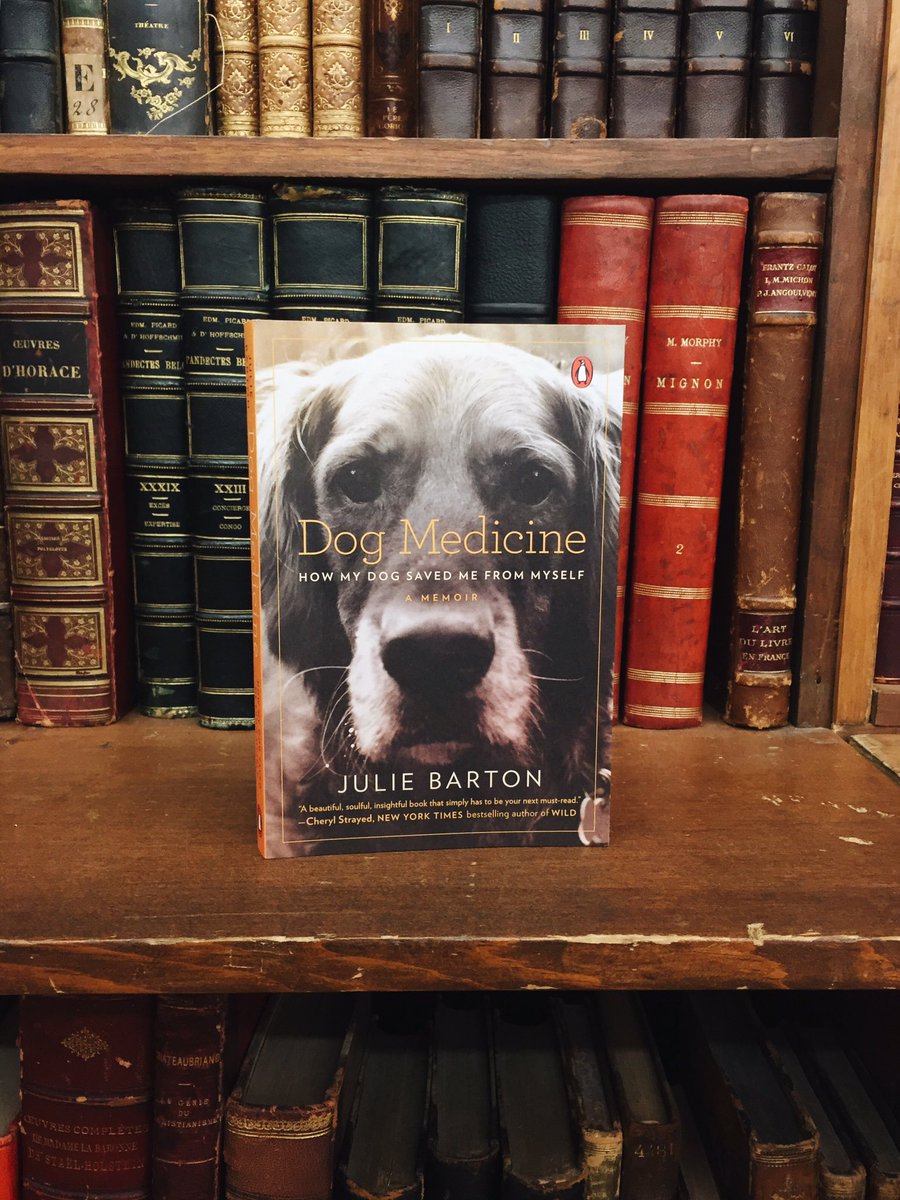 penguinusa's tweet image. .@juliebarton1111's emotional and heartwarming memoir, #DogMedicine, is the perfect weekend read! 🐶📖