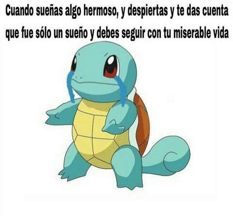 Libertad_Noti's tweet image. instagram.com/vamosacalmar/