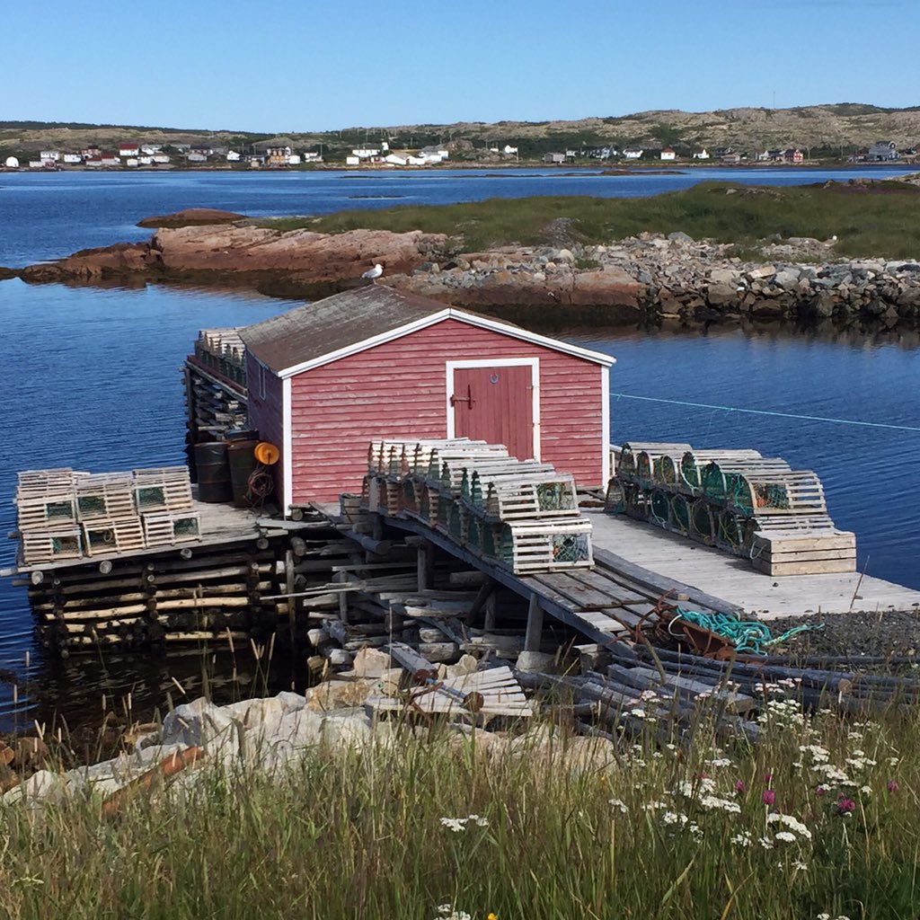 Town of Fogo Island (FogoIslandTown) Twitter