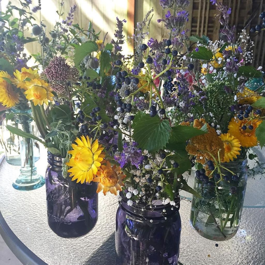 chloeameliam's tweet photo. Perfect weather for an afternoon of flower pickin' + prepping. 💛💜 #sistermagic #nickandede… https://t.co/mJDMK8ELbl https://t.co/LIatfu0EzM