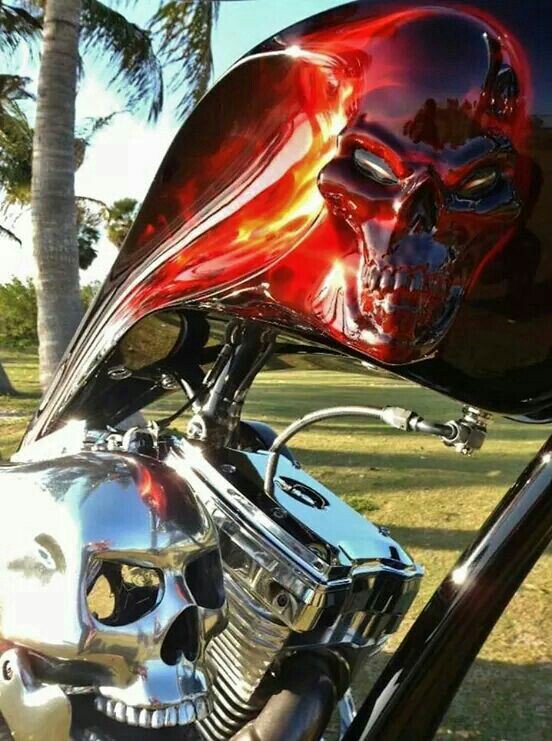 BlissfulxDemise's tweet photo. Wikkid Skullery https://t.co/6iet8DyYev
