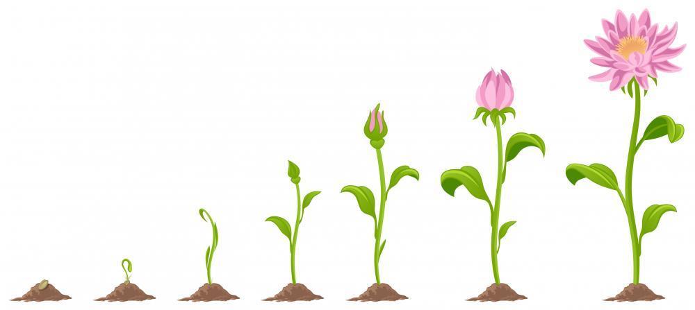 Robbie__Hardy's tweet photo. "One of the biggest rewards of being a #mentor is watching people grow into places and things" - #UpsettingTheTable https://t.co/pF4A9zZjyw
