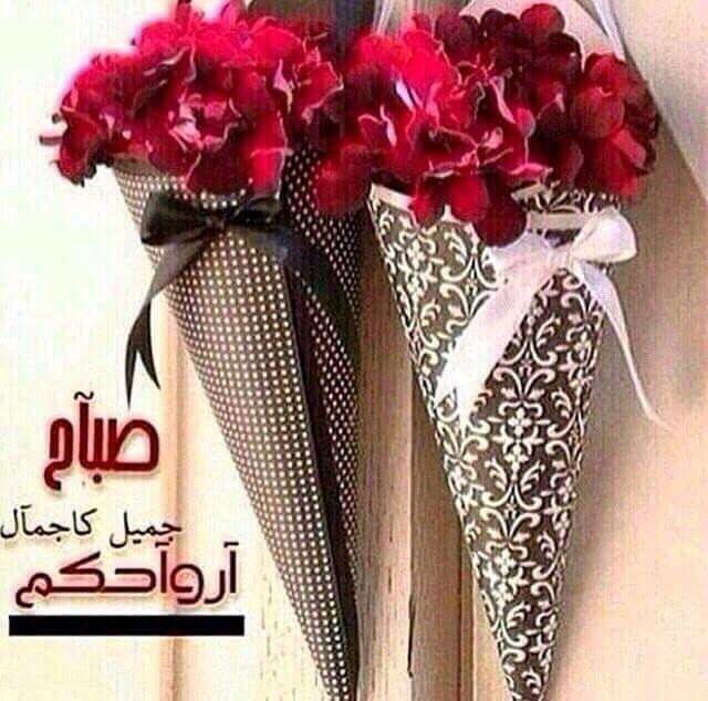 alsaajy77's tweet photo. @WelayaVoice https://t.co/7BCpo63jq1