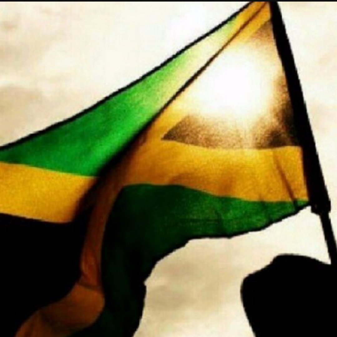 senorita_Cheree's tweet photo. It's Independence Day in Paradise 💚
#JA54 https://t.co/ap4Rlp2W8M