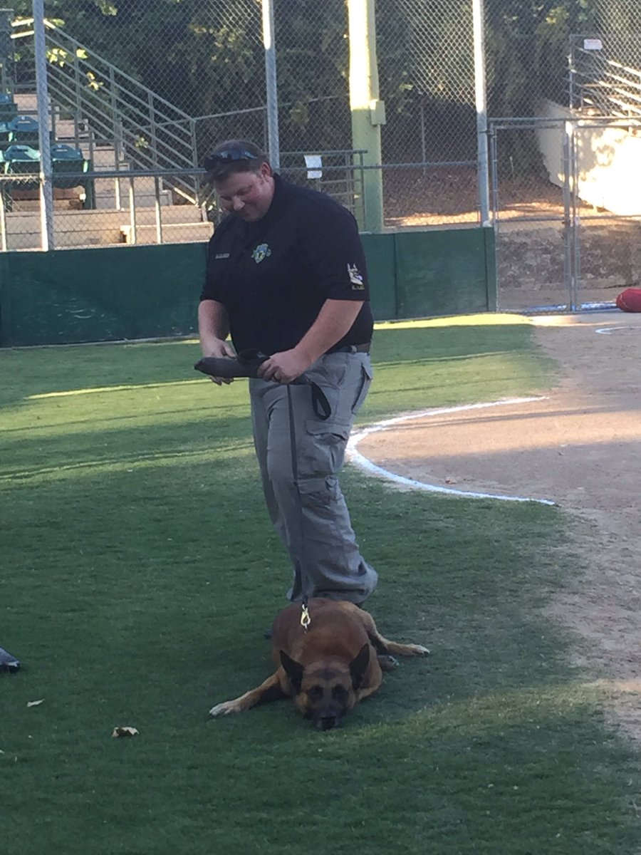 LodiPD_K9's tweet photo. LPD K9s in the house.   Zupo field     Lodi crushers baseball! https://t.co/9ETRv3rTAK