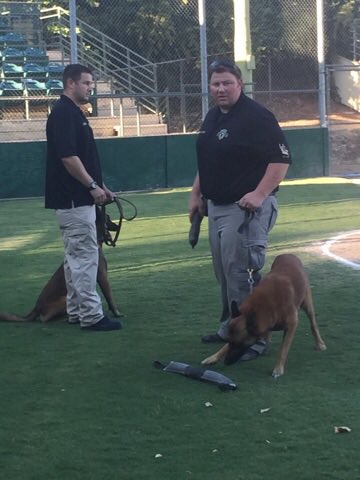 LodiPD_K9's tweet photo. LPD K9s in the house.   Zupo field     Lodi crushers baseball! https://t.co/9ETRv3rTAK