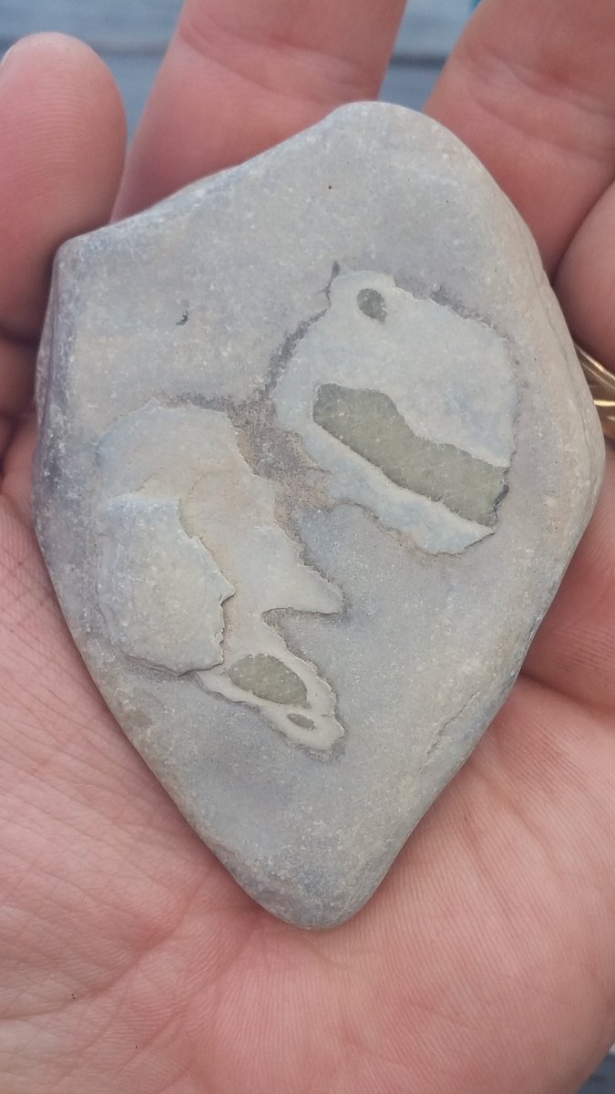 I have always wanted to find a dinosaur bone or a fossil.  Does this count?  What dinosaur do you see?