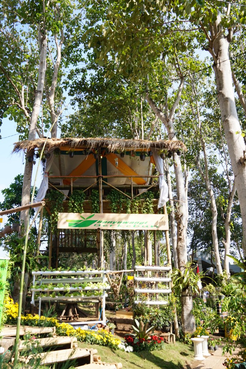 #bupatibanyuwangiganteng