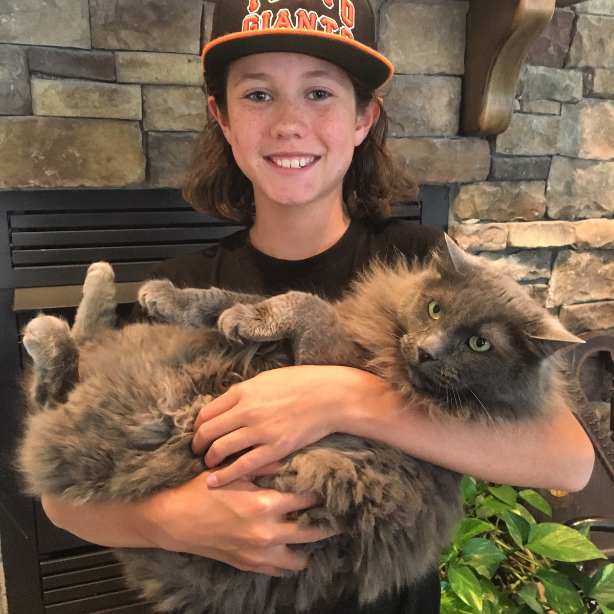 aiko320's tweet photo. My super huge cat https://t.co/WXx58SFyub
