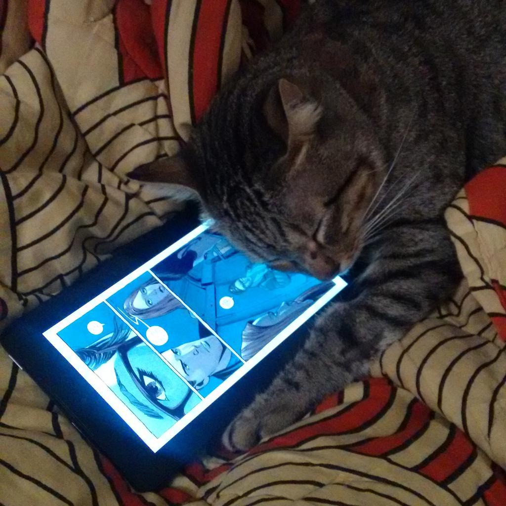StripTeaseMag's tweet photo. Even our cat loves comics! https://t.co/SAoFVSPoSn