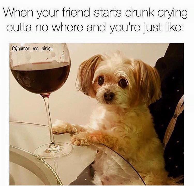 Wine Selfies on Twitter: &quot;#Wine humor! When your friend starts drunk crying out of no where you