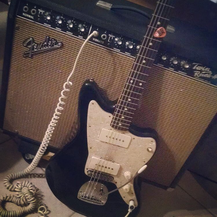 Mike Palm tweet media