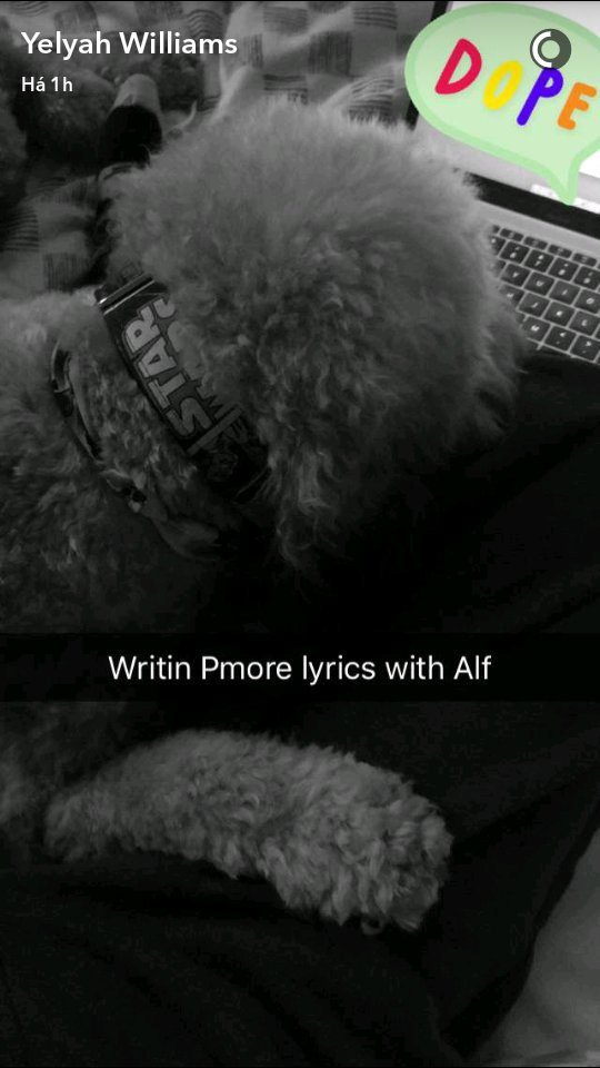 LiveForHayley's tweet image. (yelyahsnaps)