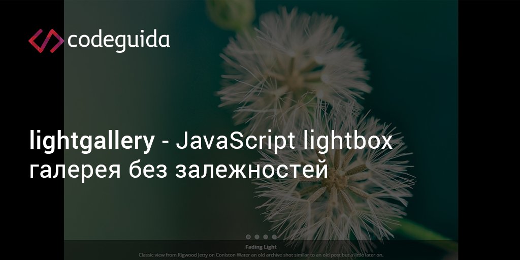 codeguida's tweet photo. #lightgallery - повнофункціональна #JavaScript #lightbox галерея без залежностей
https://t.co/WUMYjnwZXV https://t.co/tUVUyr7mN6