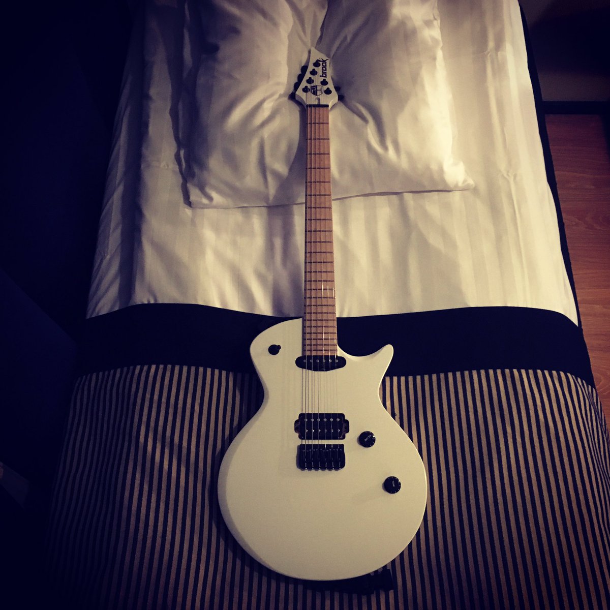 husspeter's tweet photo. Rule no1:
Always let your guitar choose bed first when on the road.
#brockguitars #takecareofyourgear https://t.co/1wIj47JNN0