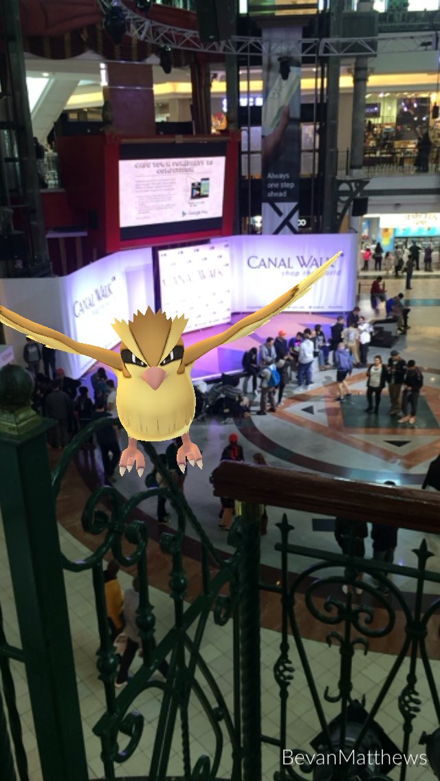 matthewsbevan's tweet photo. Pidgey flying over @canal_walk #PoGoRSA https://t.co/S3zhjexzCA