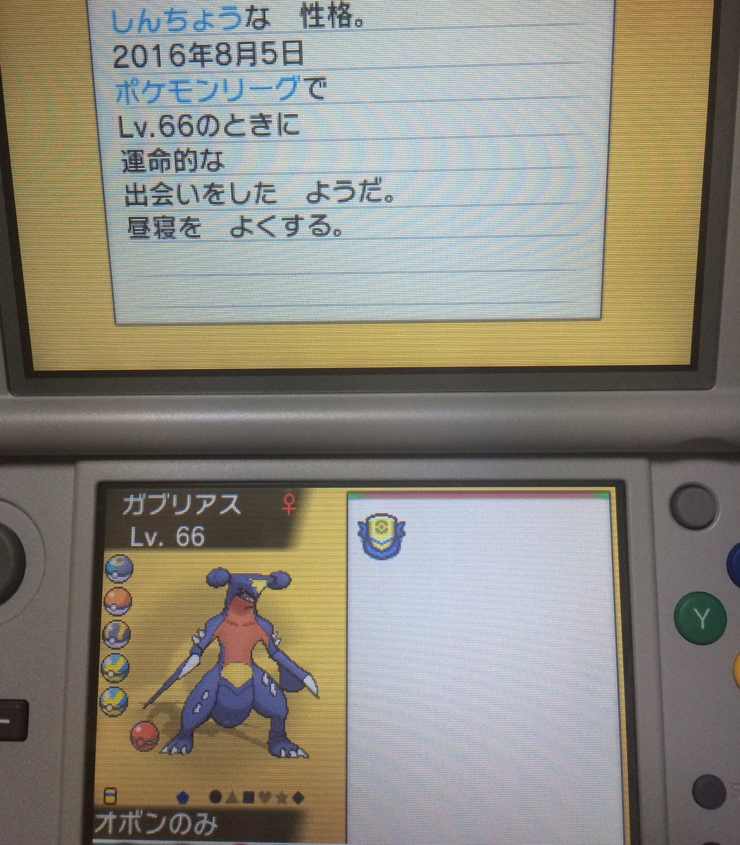 海月ちい クラチー در توییتر シンオウダービーの シロナ様のガブリアス 頂いたんだけど 人によって個体は違うのかな ワタルのカイリュー が5vだったのは 運が良かっただけ 余談ですが 本日ポケモンgoでロコンリベンジしました O W O