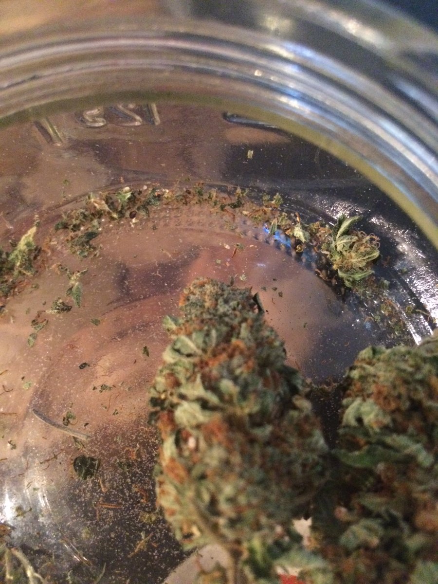 D1VERSITYENT's tweet photo. #WeStayedSmokedOut #CA.#Untouchablez #str8outtaDA818 #weed #homegrown #THChasers #diversityENT stays on #cloud9 https://t.co/IcQa7wHtOk