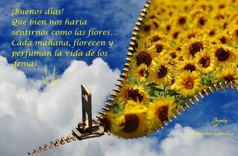 angeles_coach's tweet photo. #Feliz FindeSemana! 😊
#florecer y #perfumar como las #flores 🌸✨ https://t.co/7ESpRb4hzs