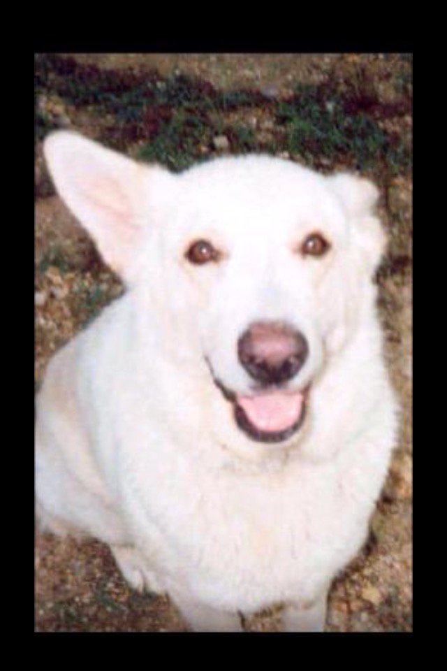 CLlENTAV_INTL's tweet image. 