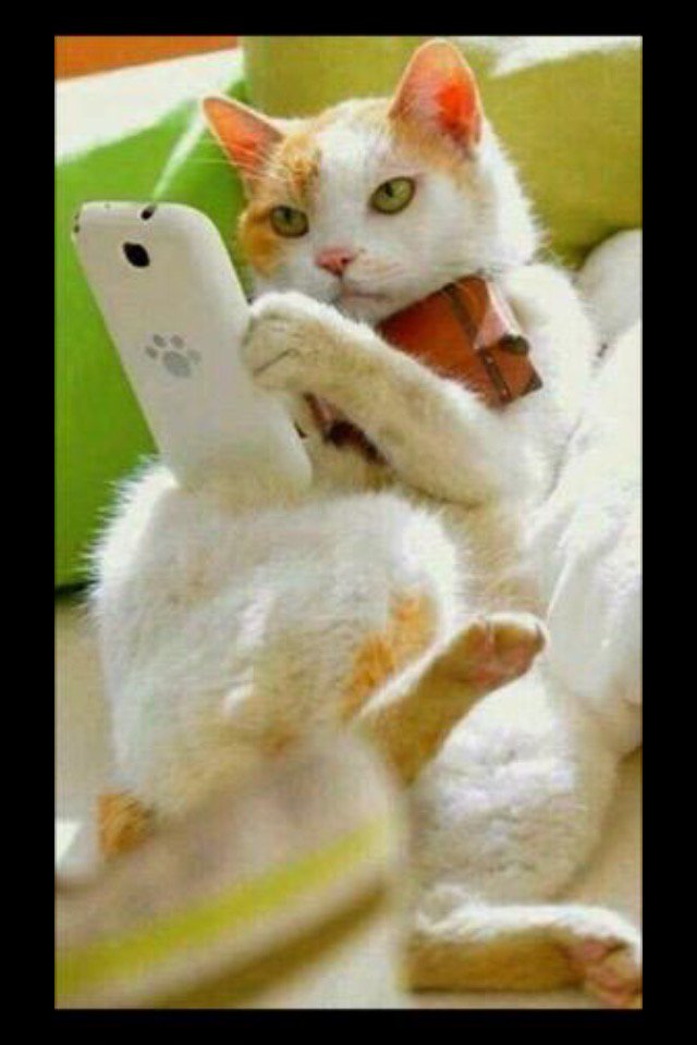 CLlENTAV_INTL's tweet image. 