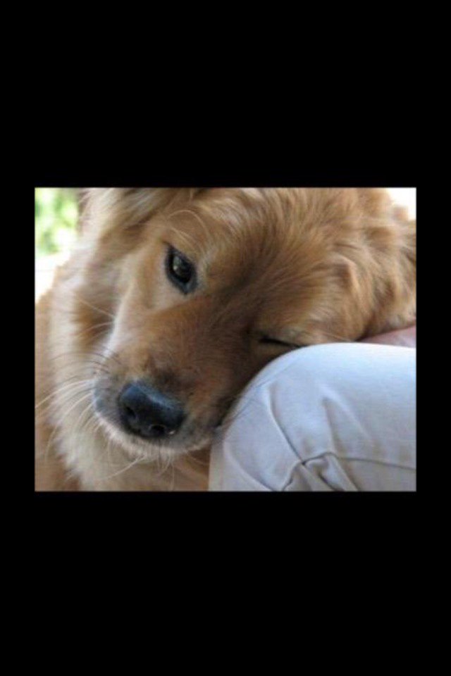 CLlENTAV_INTL's tweet image. 