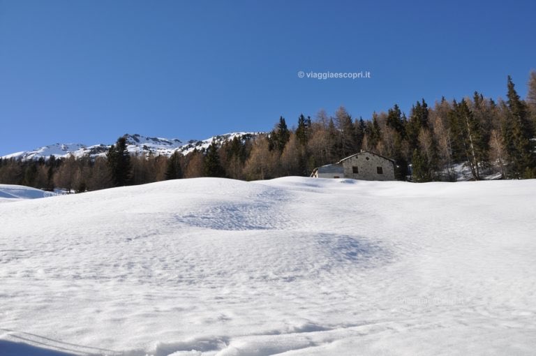 explorelombardi's tweet photo. un po' di fresco ad #Arnoga e #Bormio,tra ciaspole,sleddog e non solo,siamo in #Lombardia -> https://t.co/AaO7YnkaAL https://t.co/GHTAZtPuDZ