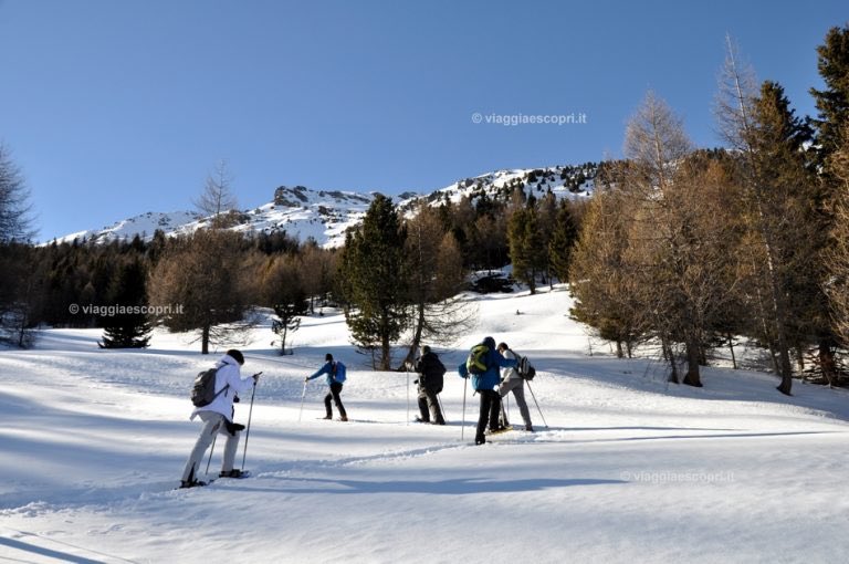 explorelombardi's tweet photo. un po' di fresco ad #Arnoga e #Bormio,tra ciaspole,sleddog e non solo,siamo in #Lombardia -> https://t.co/AaO7YnkaAL https://t.co/GHTAZtPuDZ