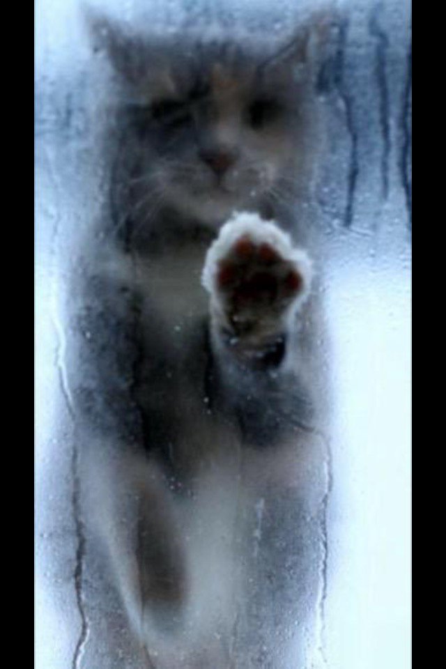 CLlENTAV_INTL's tweet image. 