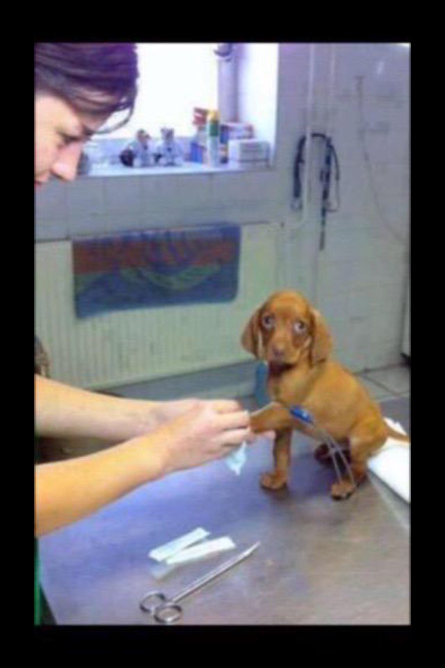 CLlENTAV_INTL's tweet image. 