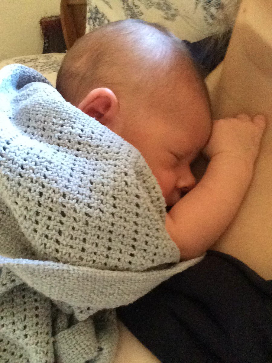 ISOTheGoodLife's tweet photo. Sheep&amp;horses to check,cattle to move, poultry to sort, then off to the Dude's first country show! Once he wakes up.. https://t.co/3uD7GSNGKY