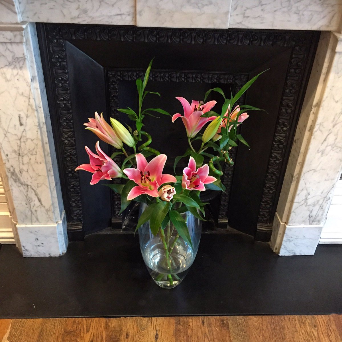 FevaCheltenham's tweet photo. Come and see us today 💐 https://t.co/ejHGavOSa4