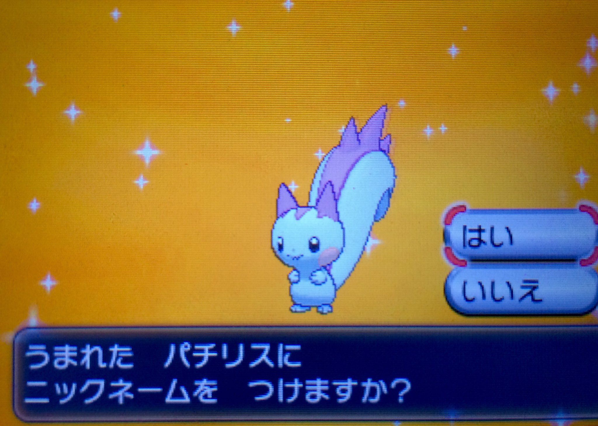 まお ポケモンx ソード Tn マオ A Twitter ドリボ夢 色違いパチリス が生まれたぁー それもたったの3個目で Hasvの大人しい性格なので鑑賞用だけど ドリボ夢 は凄く嬉しいー ピンクのパチリス可愛すぎる ポケモン 色違い 国際孵化 色違い
