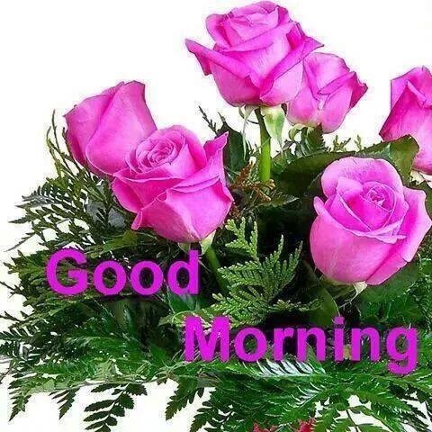 MsginsanKaur's tweet photo. @Gurmeetramrahim #Target350HitByMSG2   Dhan Dhan Satguru hi Asra 🍒 Happy JanamMonthDiyaMubaraka 🍒 GudMrng🍒🌺🍒🌺🍒🌺🍒🌺🍒🌺🍒 https://t.co/t9ixbb9g39