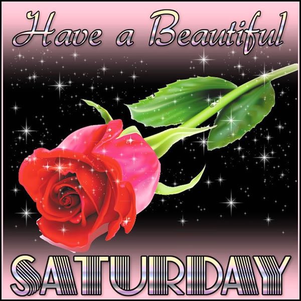 MsginsanKaur's tweet photo. @Gurmeetramrahim #Target350HitByMSG2 #ServeHumanitySaysMSG   Dhan Dhan Satguru hi Asra 🍒Thank U guiding us🍒GudMrng🌺🍒 https://t.co/0uiDbN33Ts