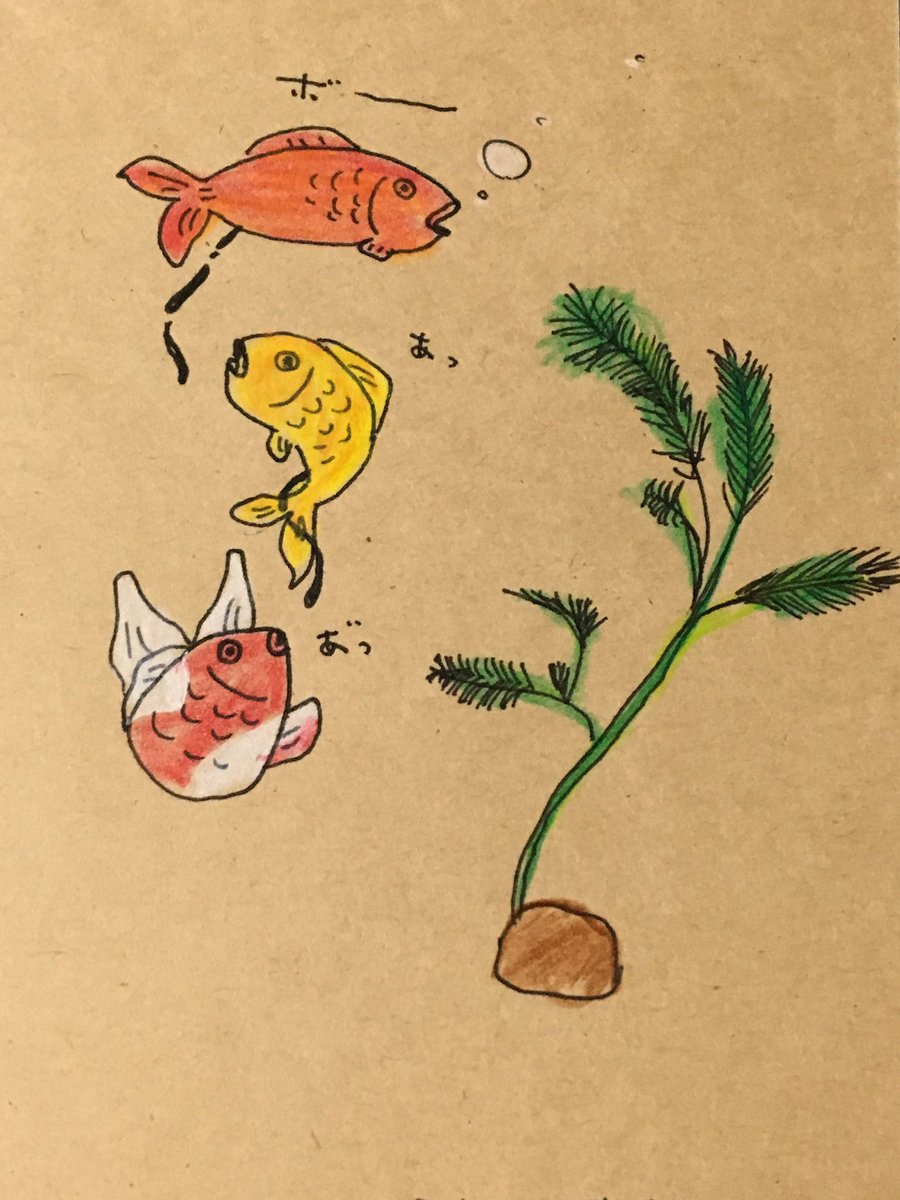 モジャモジャ鳩boo いいづかとわき على تويتر 今日のイラスト いいづかのほう 昨日高円寺too Tickiさん Tootickikoenji で金魚祭りをするとの事で納品させていただいたポストカード 一枚100円です 創作の狼煙 絵描き人 金魚 フン モジャモジャ鳩boo いいづかとわき على تويتر 今日のイラスト いいづかのほう 昨日高円寺too Tickiさん Tootickikoenji で金魚祭りをするとの事で納品させていただいたポストカード 一枚100円です 創作の狼煙 絵描き人 金魚 フン