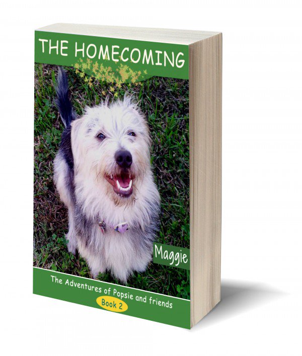 Pizzazz_Books's tweet photo. THE HOMECOMING
★https://t.co/oakxQltQnA
★Pin https://t.co/IAKPzNTAk0

#p2016t #books4kids #ASMSG @MaggieDavid https://t.co/mrBqKQ4J2w
