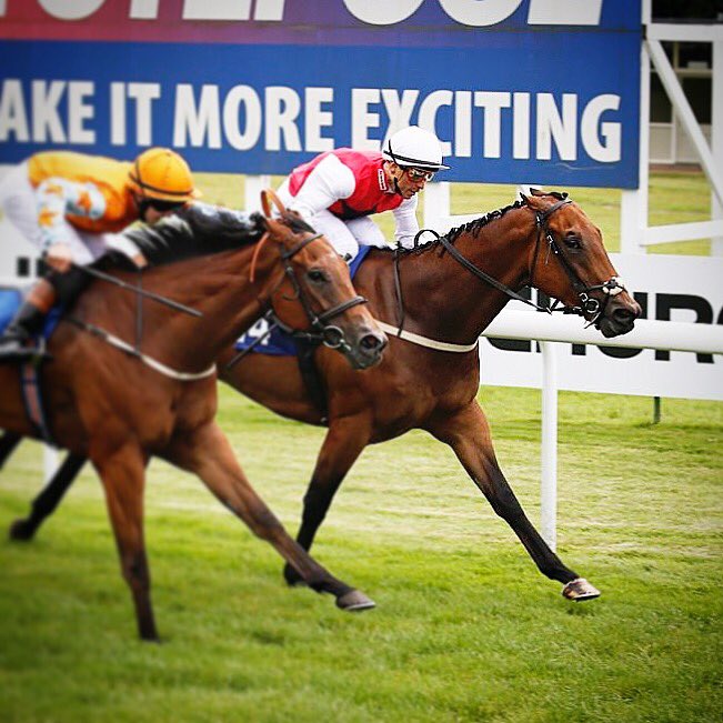 RonHarrisRacing's tweet photo. Topsoil @BathRacecourse #RaulDeSilva #Winner #RonHarrisRacing #TopSoil #BathRacecourse πππΎπ https://t.co/kwfMSEkzS3